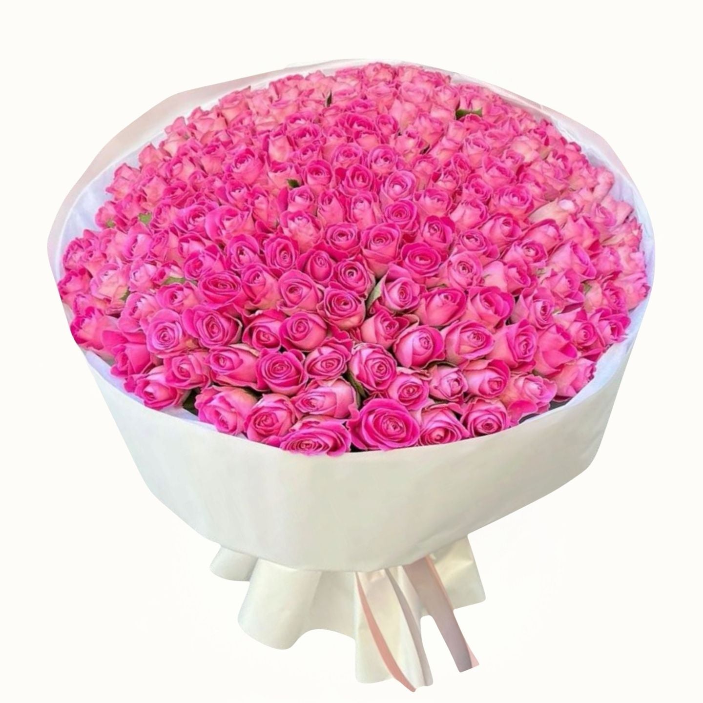 Bouquet of pink roses in a white container on a white background