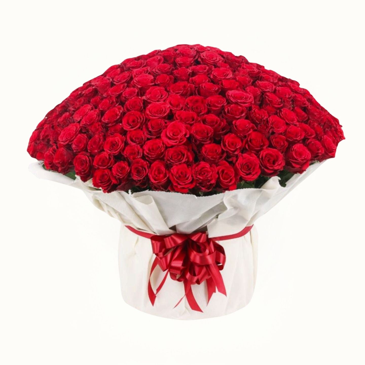 Bouquet of red roses with a white wrap and red ribbon on a white background