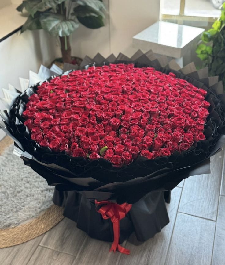500 red roses bouquet with black wrapping