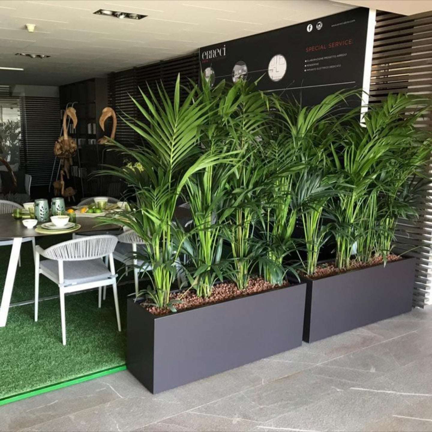 Indoor setting with potted plants, dining table, and chairs.