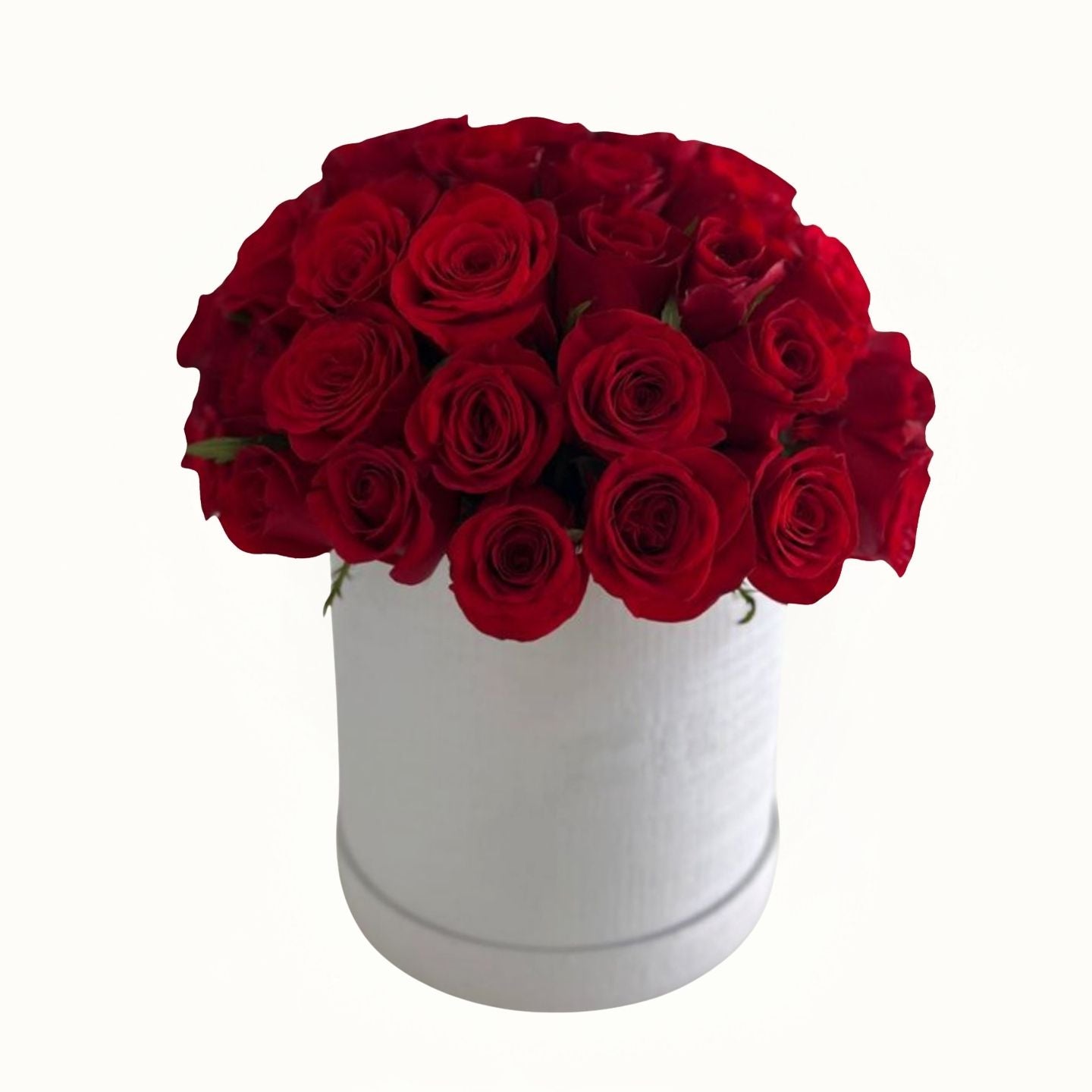 White box filled with red roses on a white background