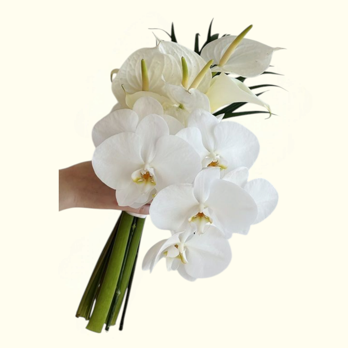 Bloom Day