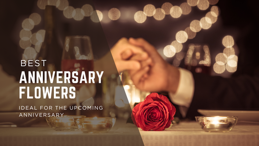 Best Anniversary Flowers in Dubai