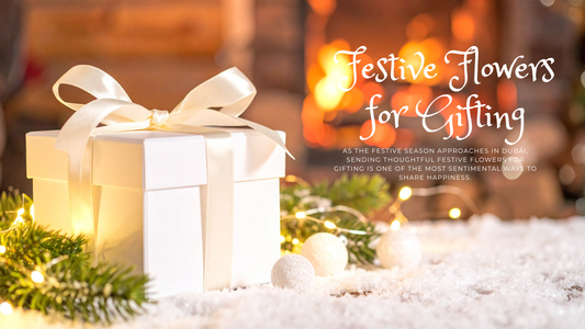 Festive Flowers for Gifting in Dubai