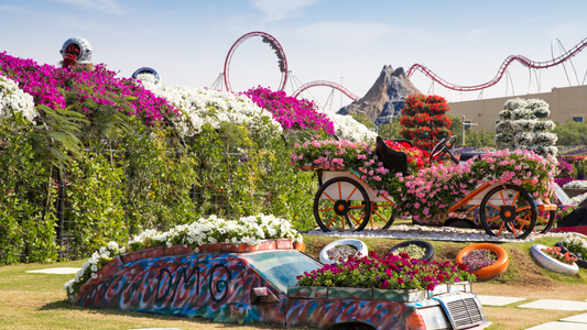 National Flower of UAE