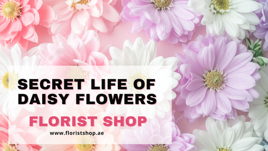 Secret Life of Daisy Flowers