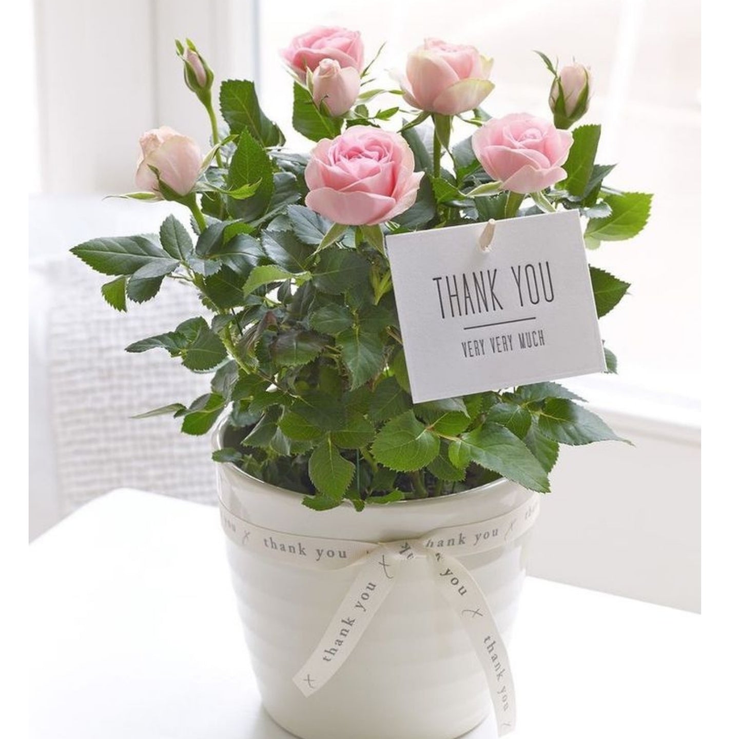 Flowers for Colleague Online