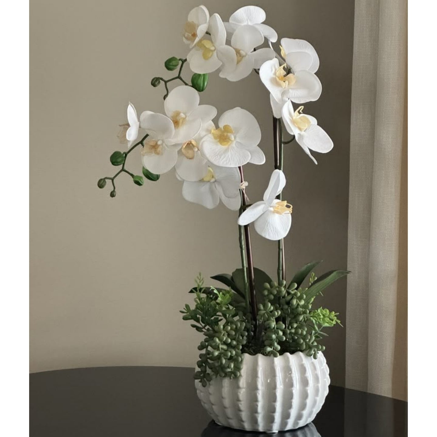 Orchid Flowers Online