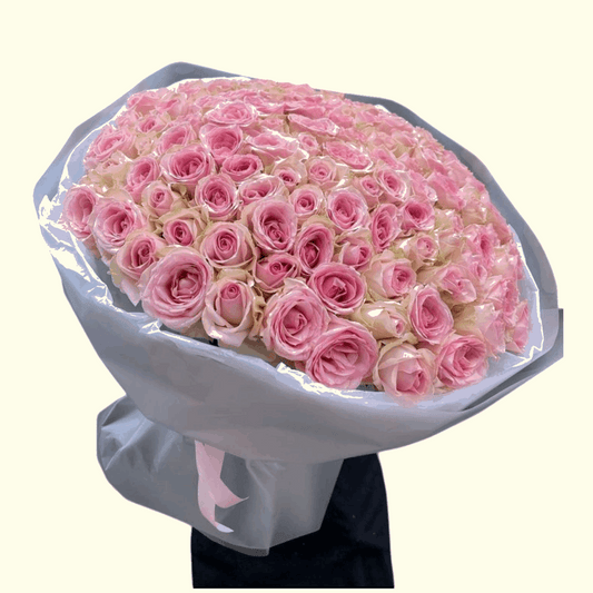 101 Pink Flush