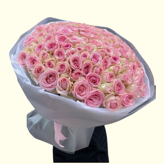 101 Pink Flush