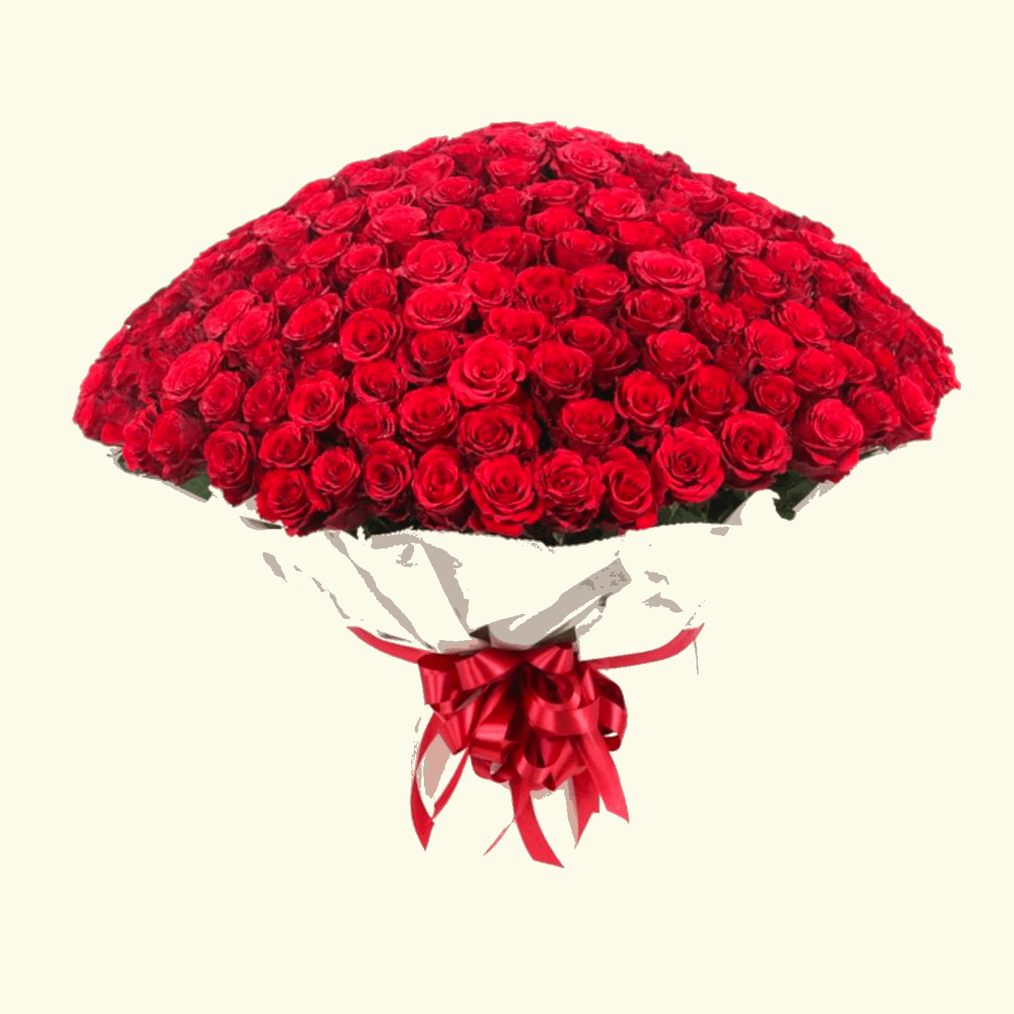 101 Red