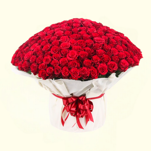 101 Red