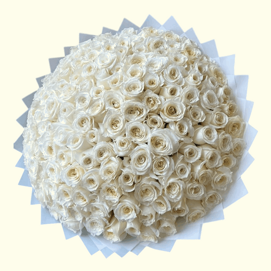 101 White