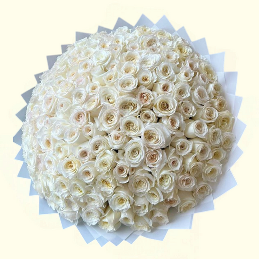 101 White