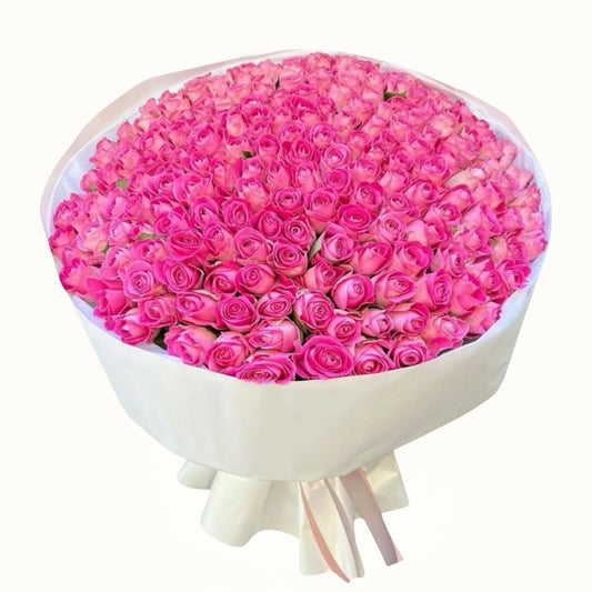 Bouquet of pink roses in a white container on a white background