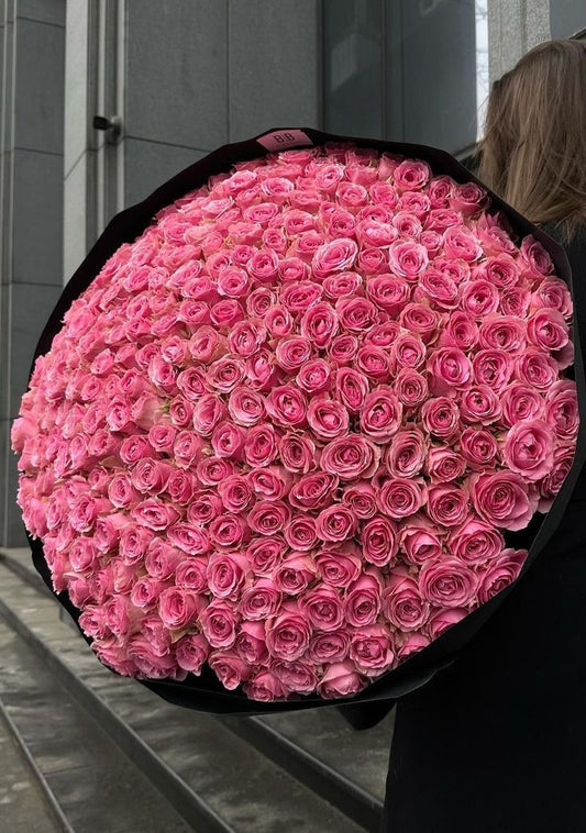 500 Pink roses bouquet with black wrapping 