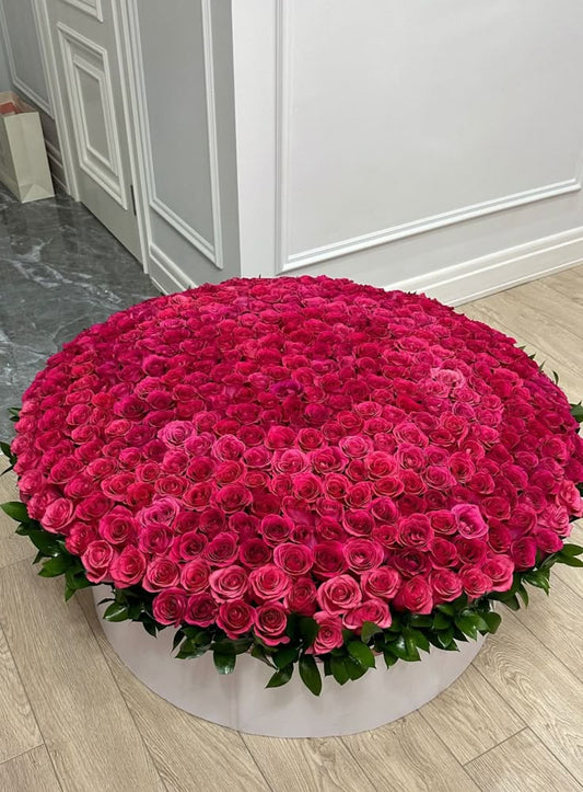 500 red roses box with romantic look