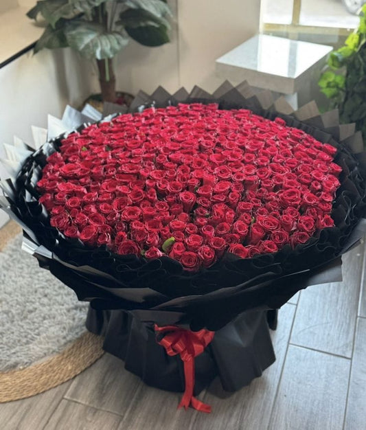 500 red roses bouquet with black wrapping 