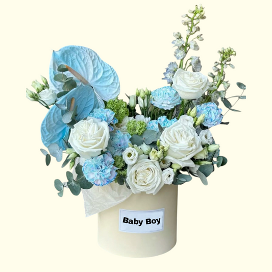 Baby Box