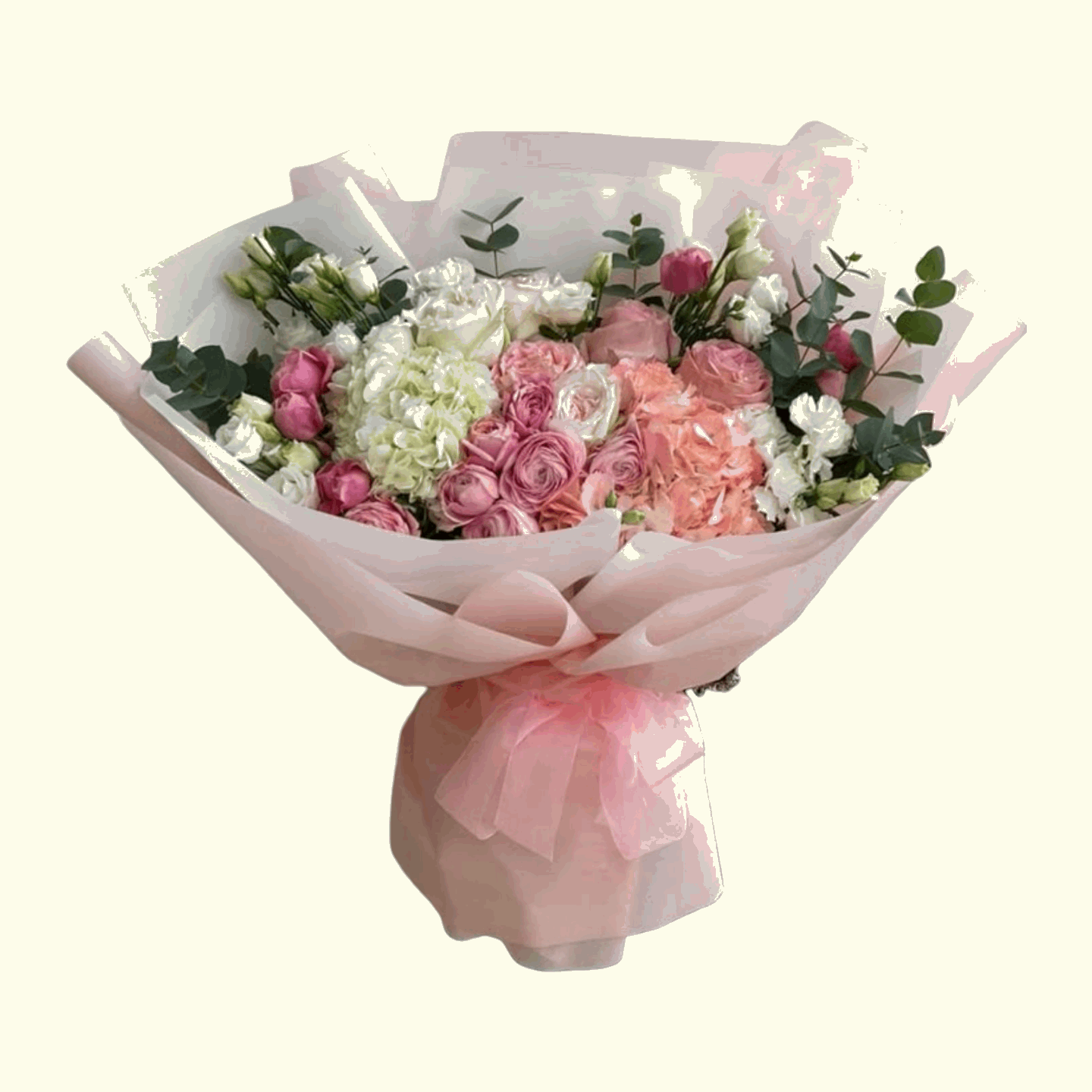 Cute Hydrangea