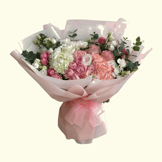 Cute Hydrangea