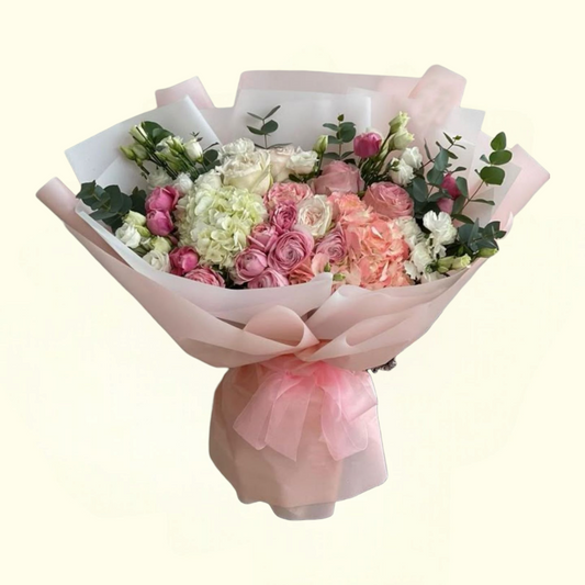 Cute Hydrangea