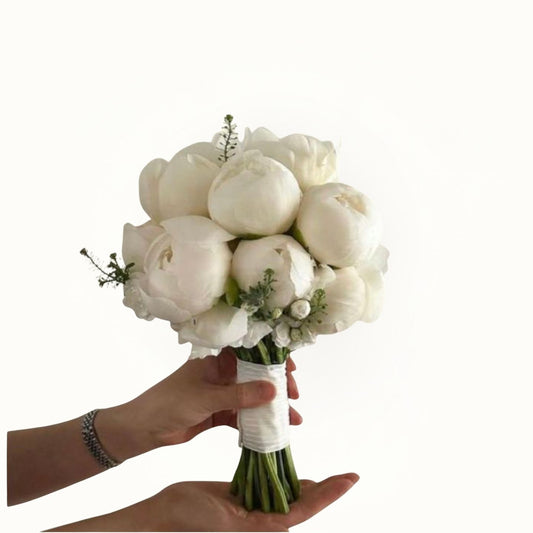 Bouquet of white flowers held by a hand on a white background