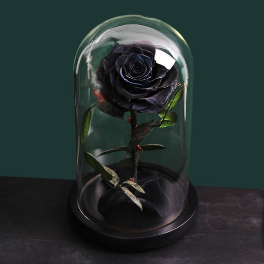 Forever Single Black Rose