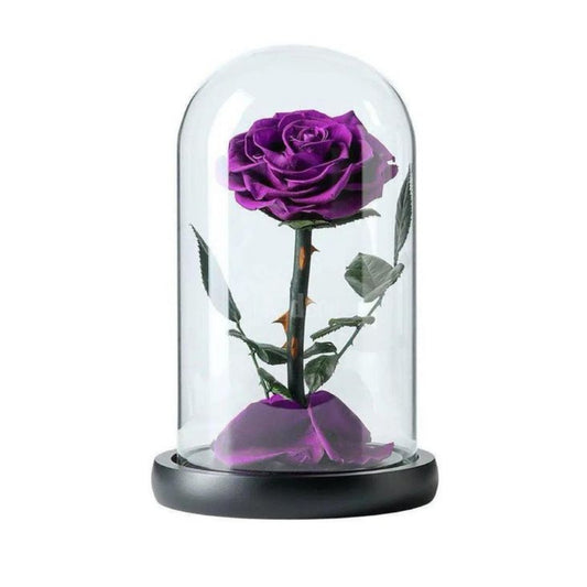 Forever Single Purple Rose in Dubai
