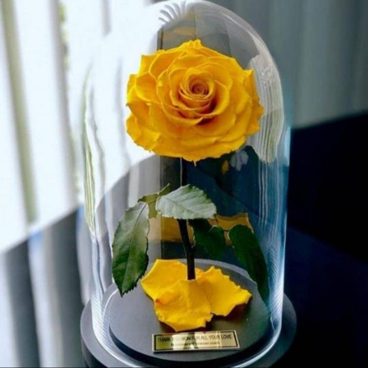 Forever Single Yellow Rose in Dubai
