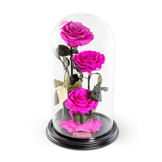 Forever Trio Pink Rose in Dubai