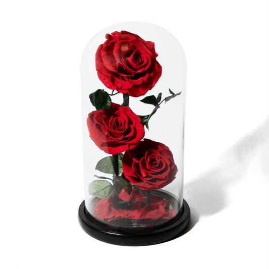 Forever Trio Red Rose in Dubai
