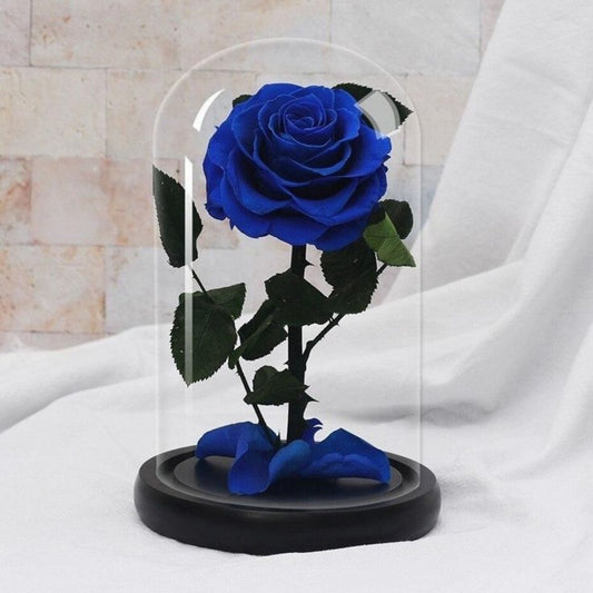Forever Single Blue Rose in Dubai, uAE
