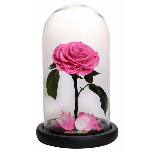 Forever Single Pink Rose in Dubai, UAE