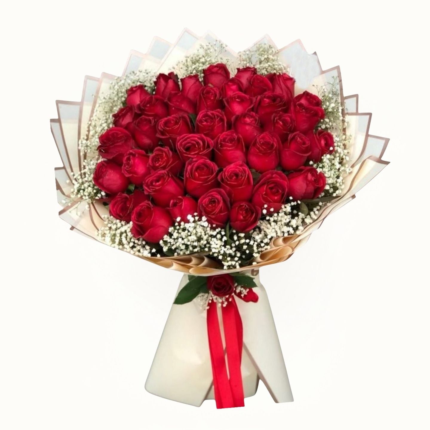 Bouquet of red roses with a white ribbon on a white background