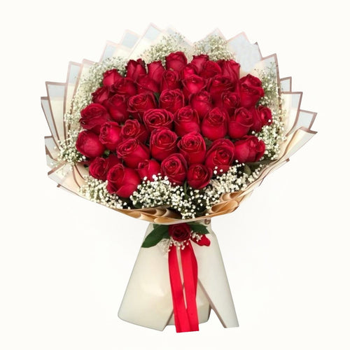 Bouquet of red roses with a white ribbon on a white background