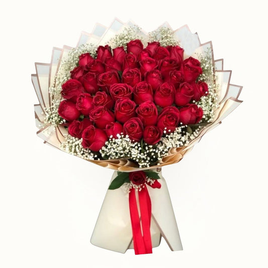 Bouquet of red roses with a white ribbon on a white background