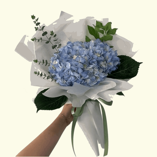 Hydrangea Blue