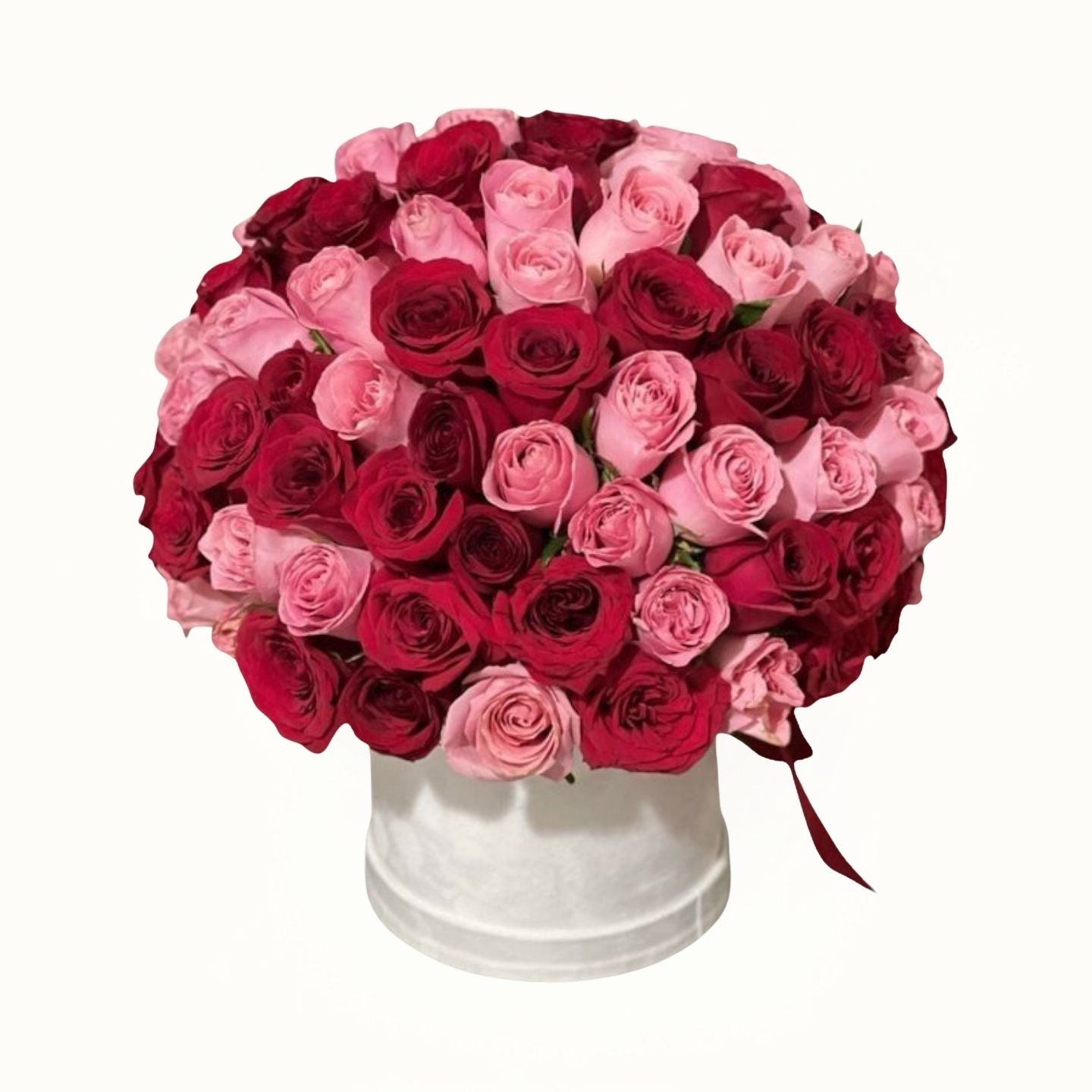 Bouquet of red and pink roses in a white container on a white background