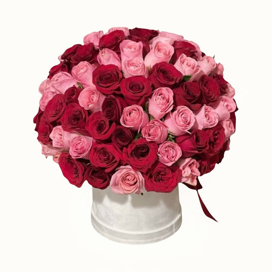 Bouquet of red and pink roses in a white container on a white background