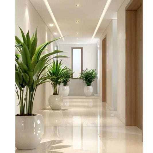 Modern hallway with decorative plants in white pots