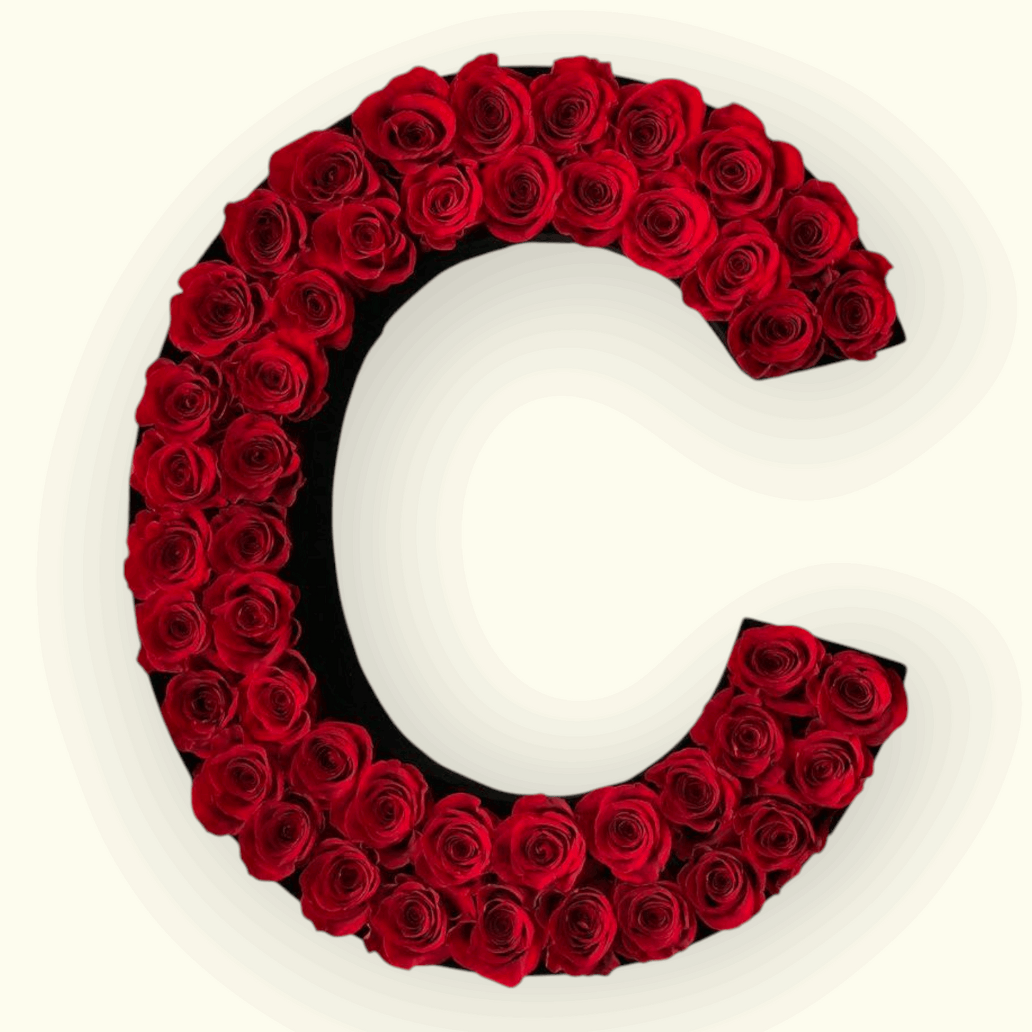 Letter 'Q' made of red roses 