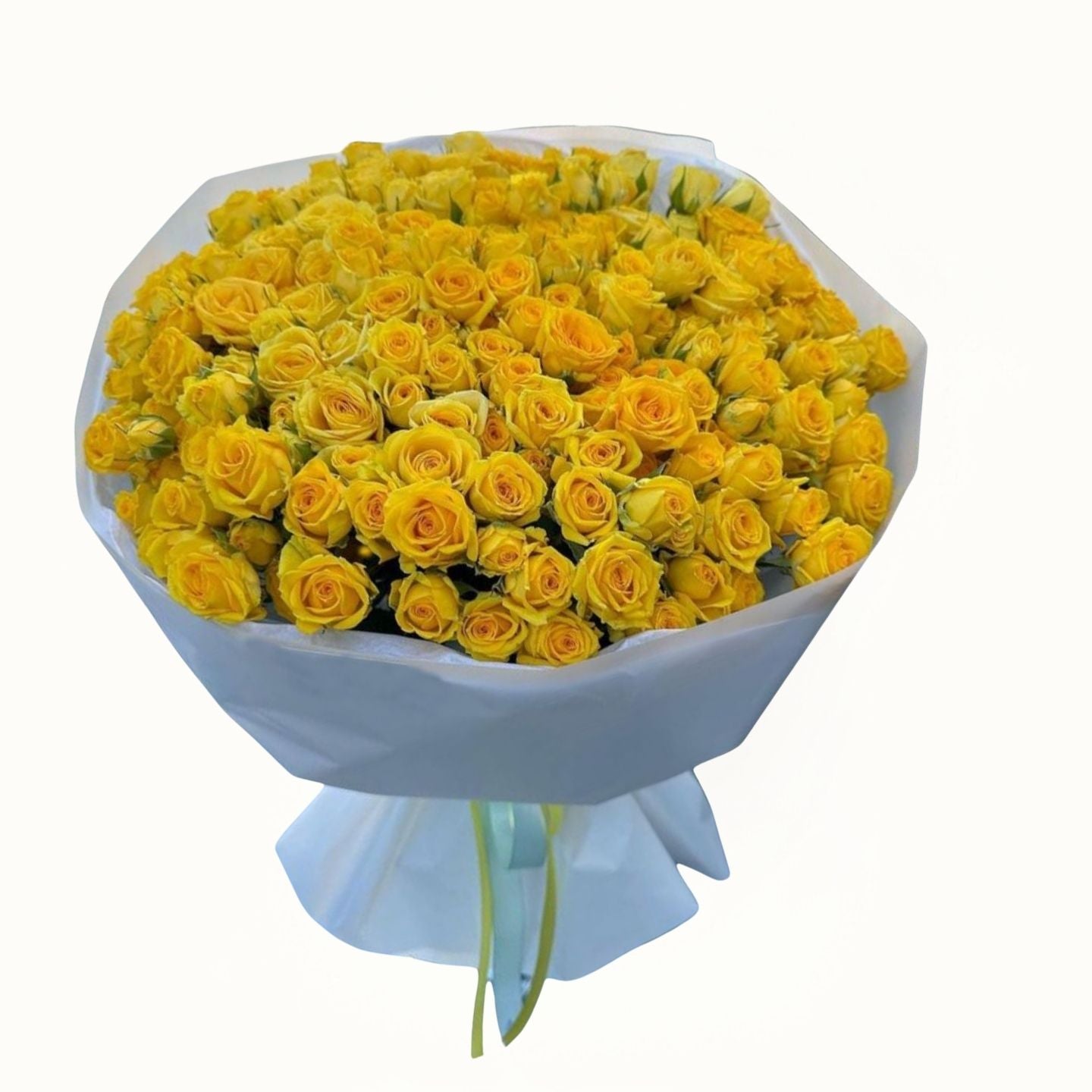 Bouquet of yellow roses wrapped in white paper on a white background