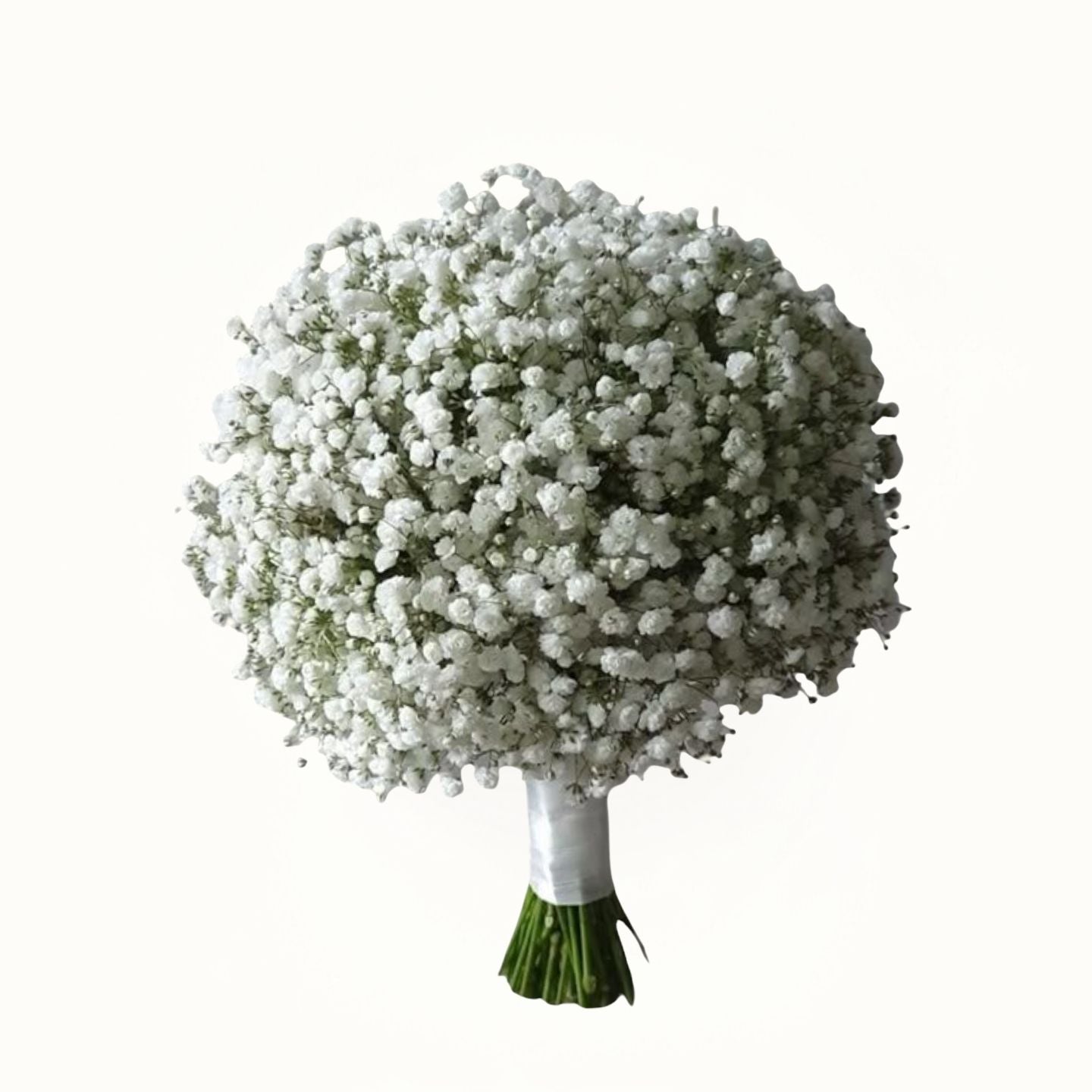 Bouquet of white flowers with a green base on a white background