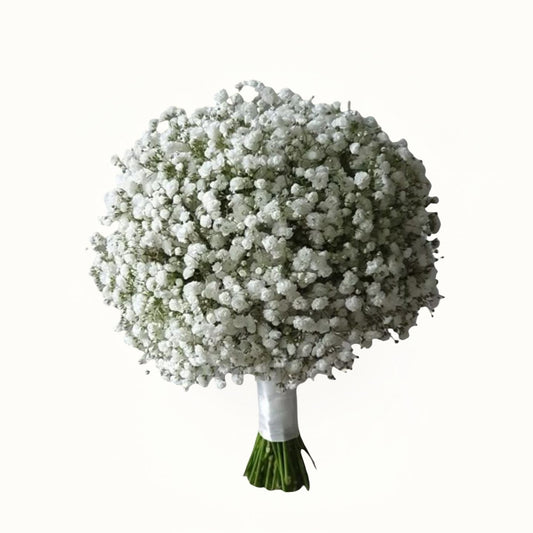 Bouquet of white flowers with a green base on a white background