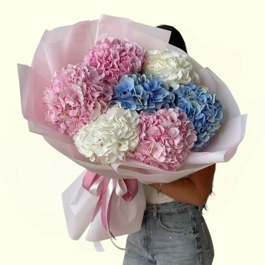 Mixed Hydrangea