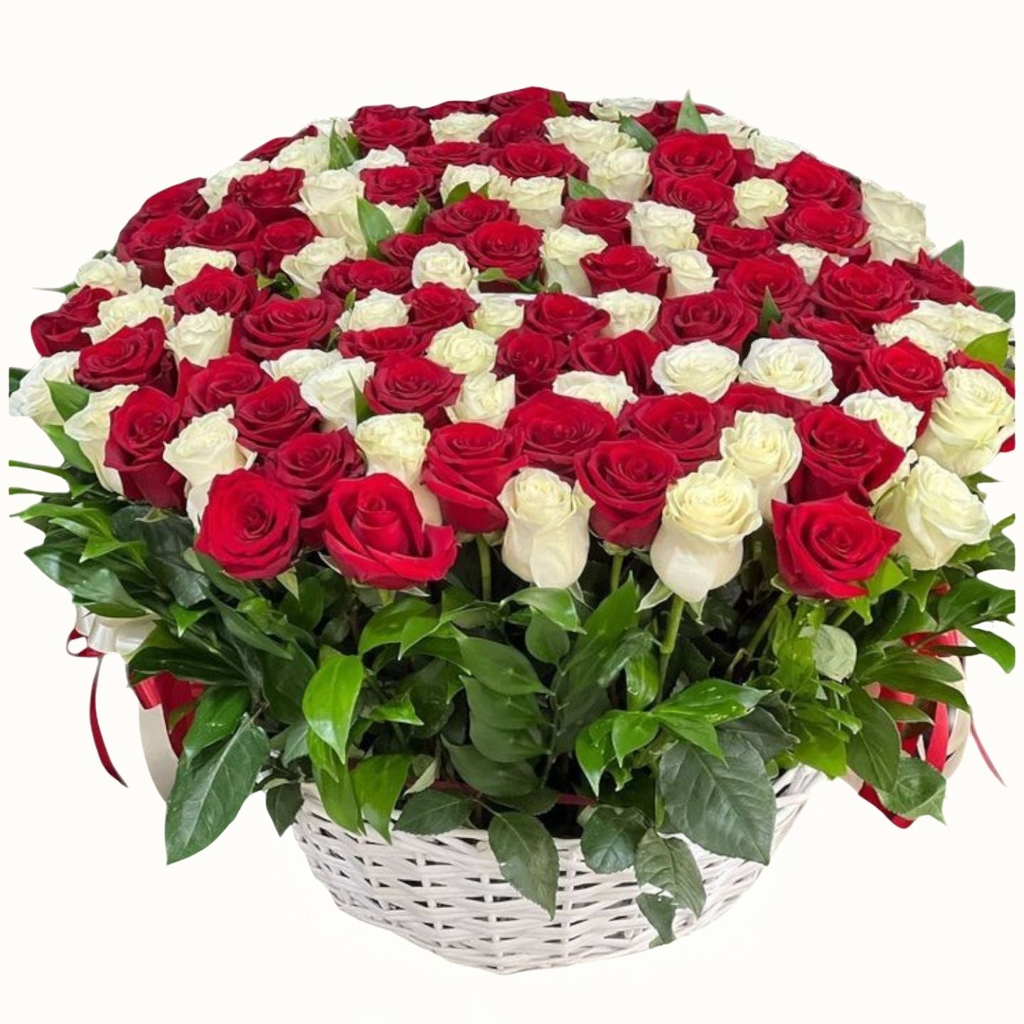 Basket of red and white roses on a white background