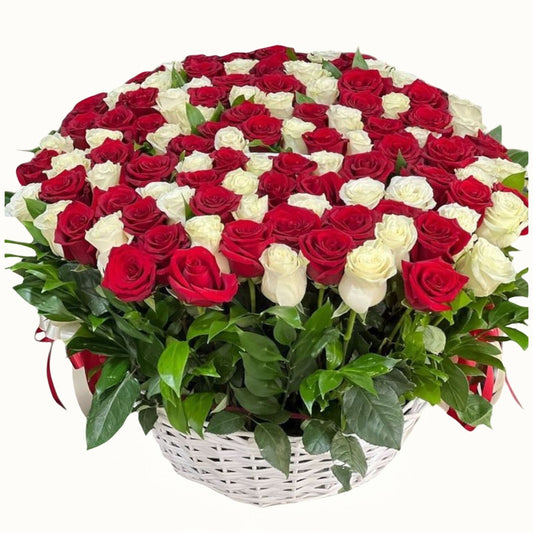 Basket of red and white roses on a white background