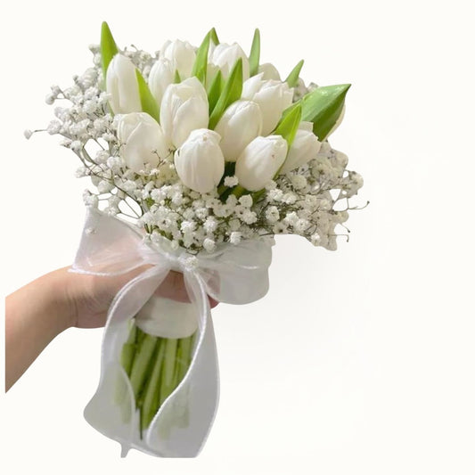 Bouquet of white tulips with baby's breath held by a hand on a white background