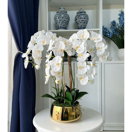 Orchid Vase Arrangement